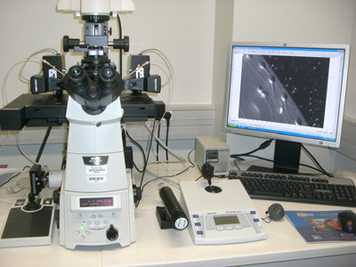 microscope inversé équipé d’un contraste de Nomarski