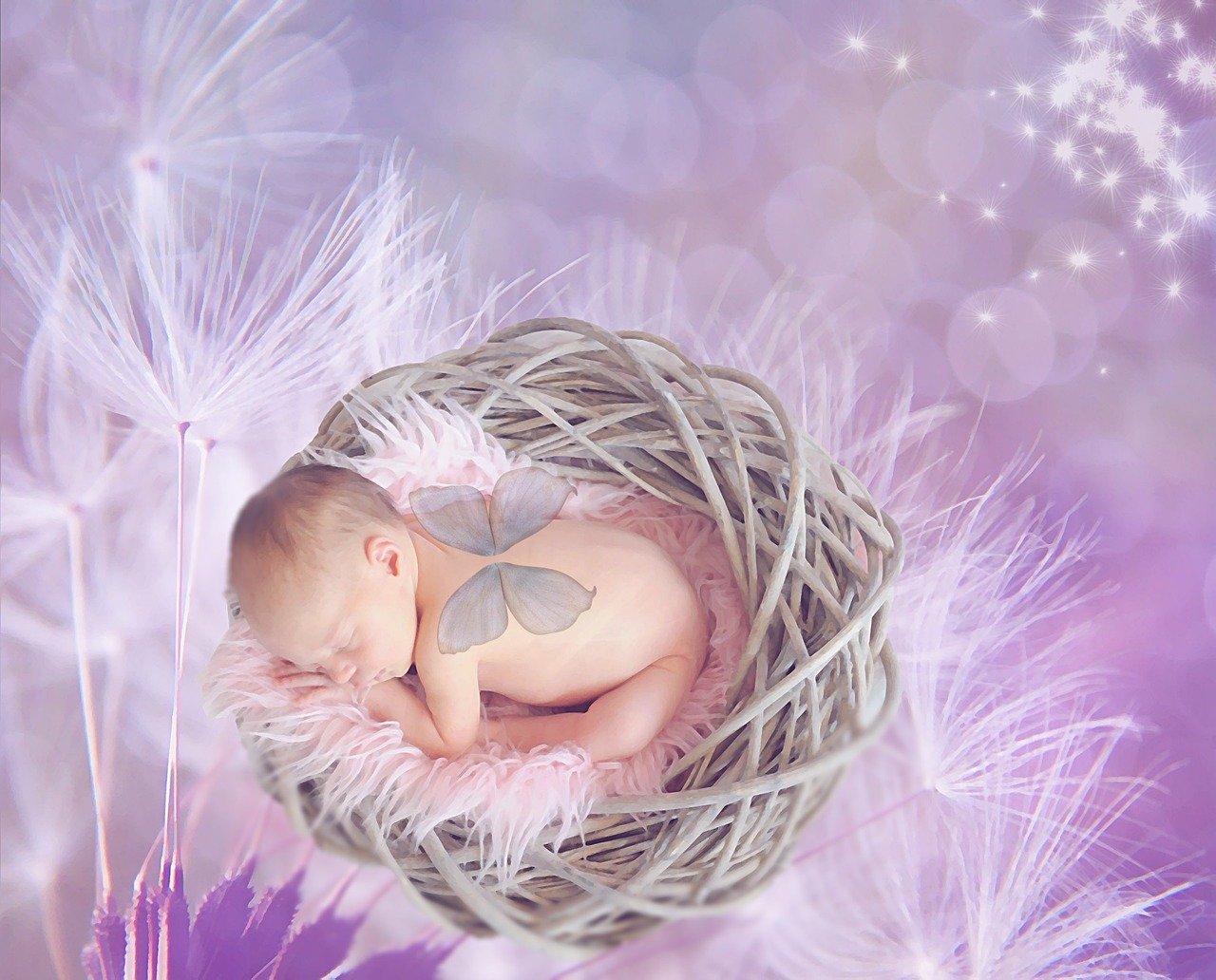 bébé dans panier plume