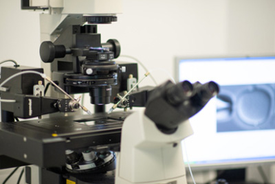 Fécondation In Vitro