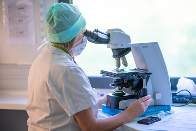 Insémination artificiele