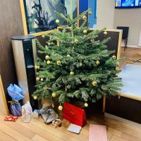 sapin de noel