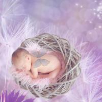 bébé dans panier plume