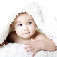bebe